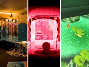 Three sensory products side by side: a mobile sensory cart, a sensory pod and an interactive floor projection